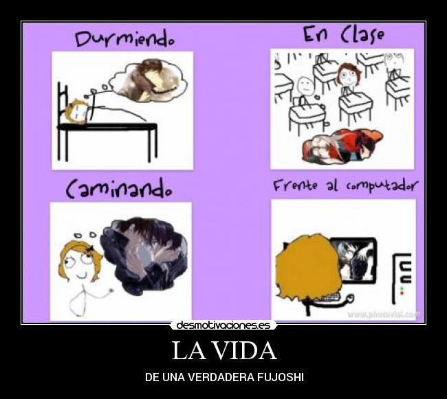LA VIDA -