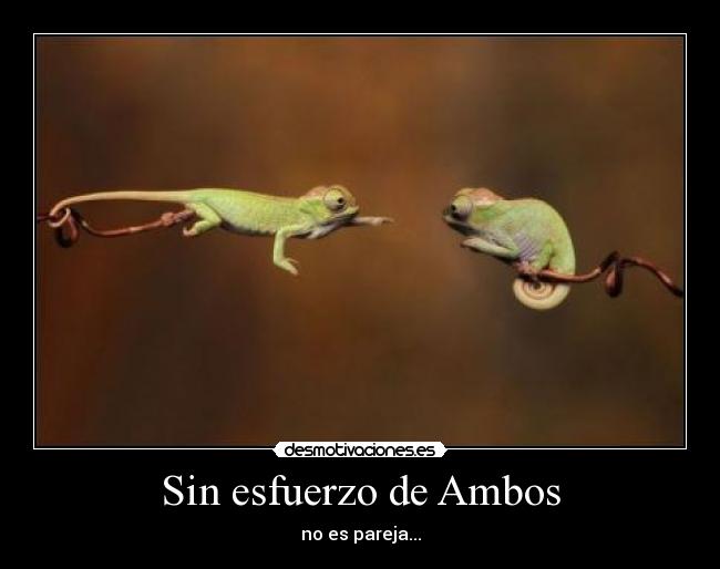 Sin esfuerzo de Ambos - no es pareja...