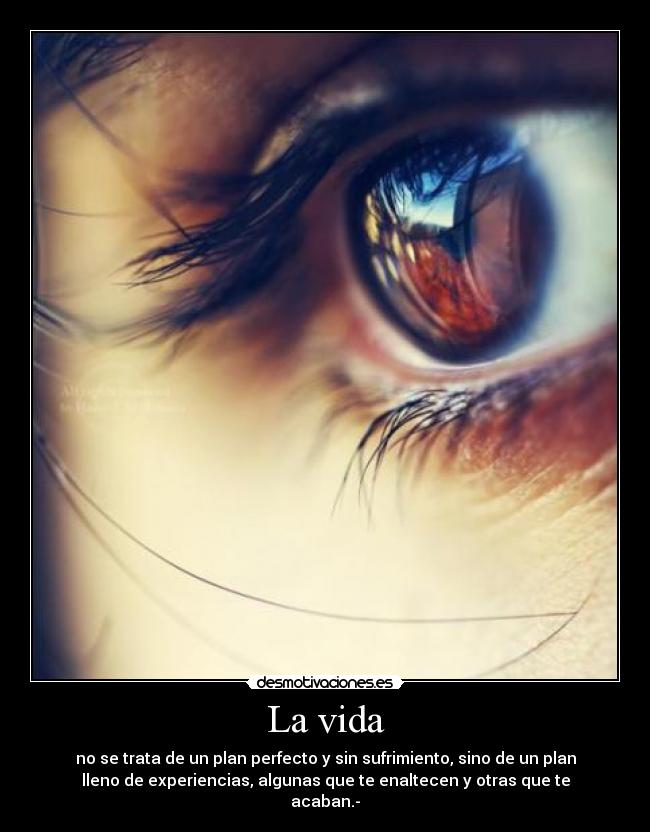 La vida - no se trata de un plan perfecto y sin sufrimiento, sino de un plan
lleno de experiencias, algunas que te enaltecen y otras que te
acaban.-