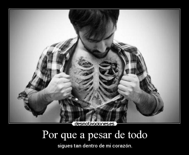 Por que a pesar de todo -