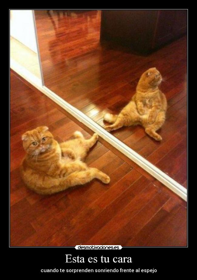 Esta es tu cara - cuando te sorprenden sonriendo frente al espejo