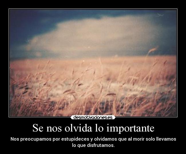 Se nos olvida lo importante - Nos preocupamos por estupideces y olvidamos que al morir solo llevamos
lo que disfrutamos.