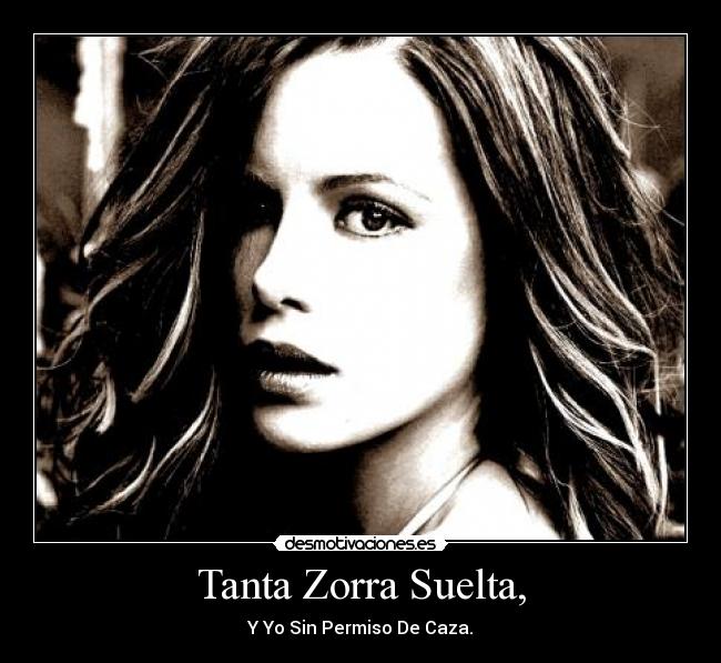 Tanta Zorra Suelta, - 