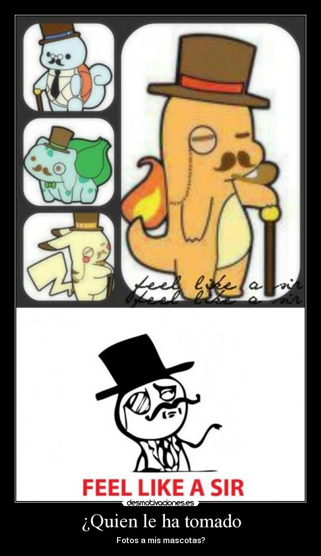 ¿Quien le ha tomado -