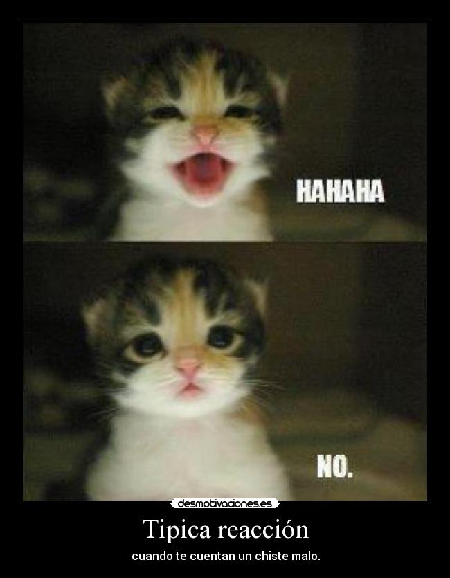 Tipica reacción - cuando te cuentan un chiste malo.