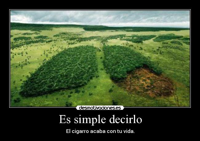 Es simple decirlo -