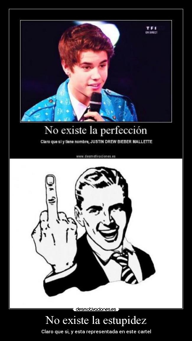 No existe la estupidez - 