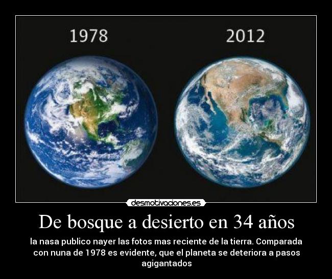 carteles bosque desierto anos desmotivaciones