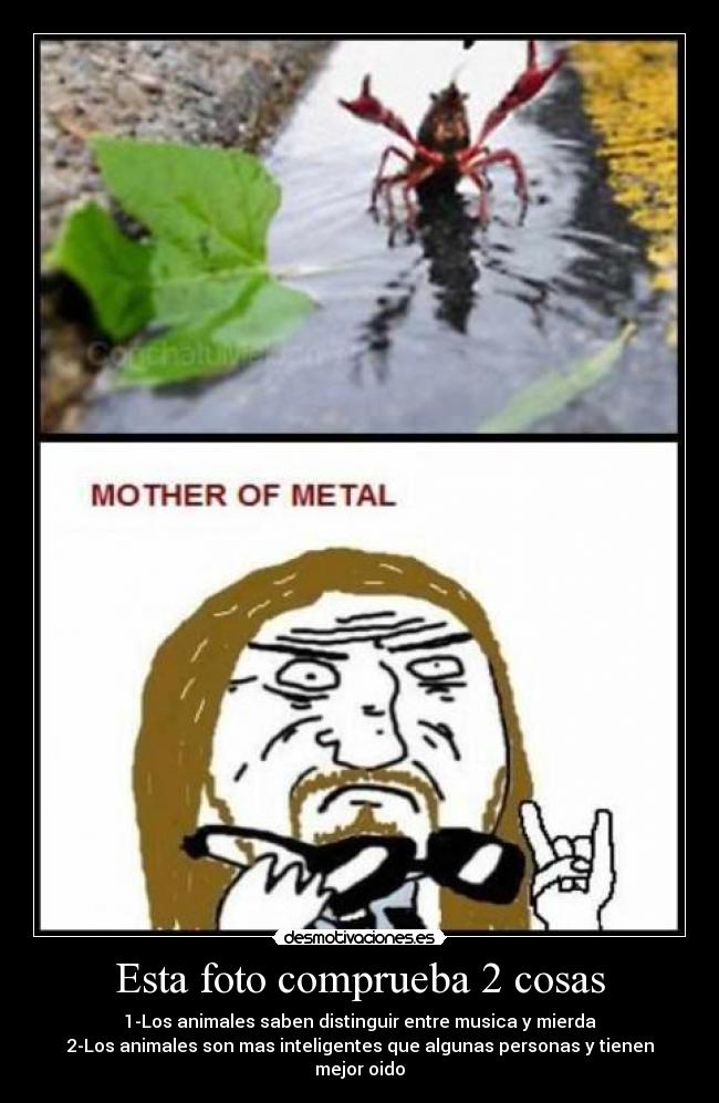Esta foto comprueba 2 cosas - 1-Los animales saben distinguir entre musica y mierda
2-Los animales son mas inteligentes que algunas personas y tienen mejor oido