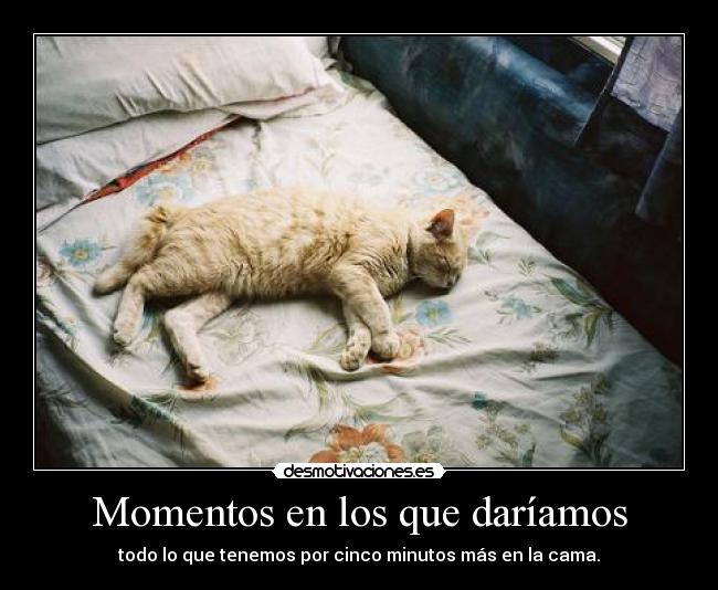 Momentos en los que daríamos - todo lo que tenemos por cinco minutos más en la cama.