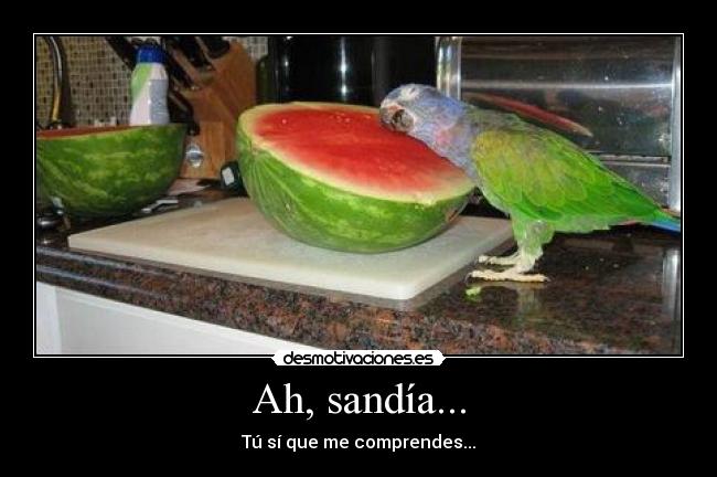 Ah, sandía... - Tú sí que me comprendes...