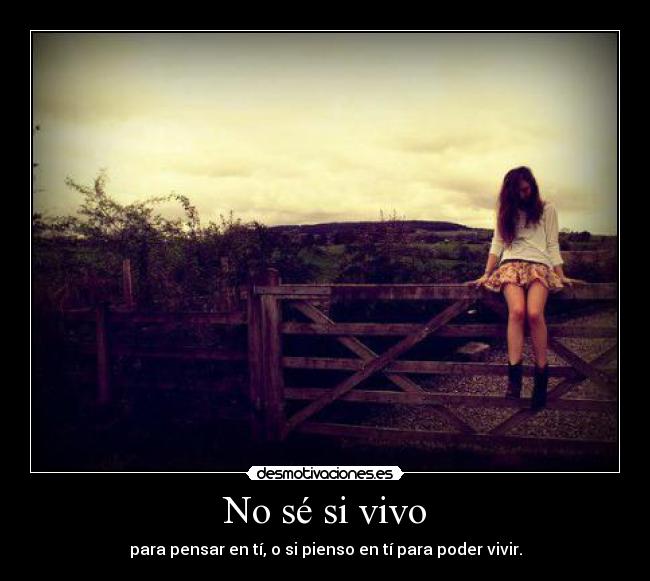 No sé si vivo - 