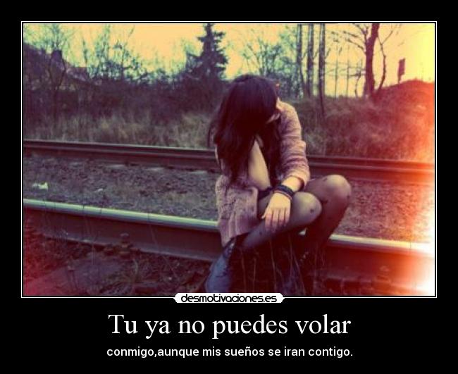 Tu ya no puedes volar - 
