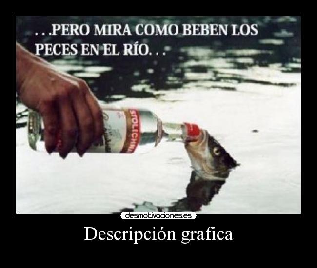 Descripción grafica - 
