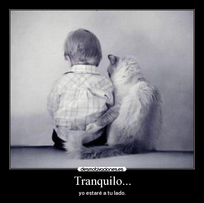 Tranquilo... -