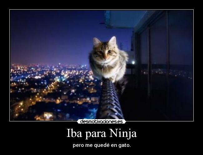 Iba para Ninja - pero me quedé en gato.