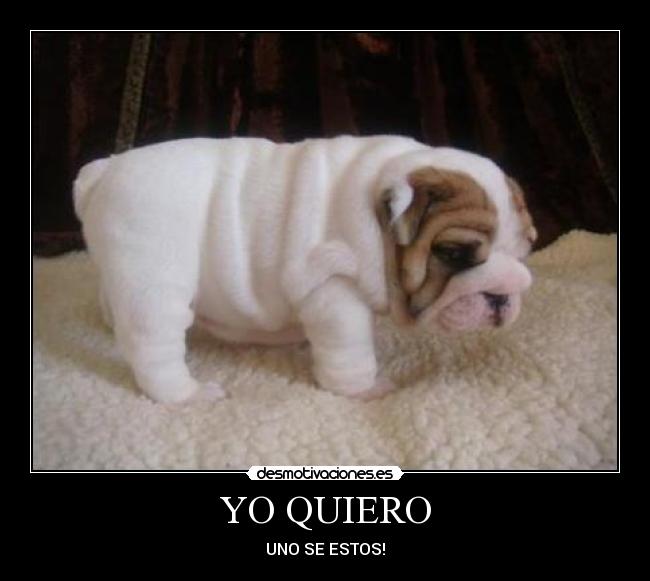 YO QUIERO - UNO SE ESTOS!