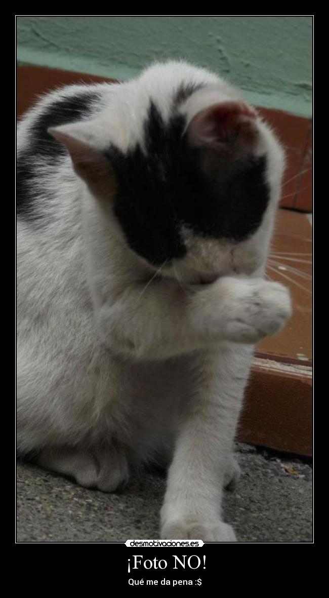 ¡Foto NO! - Qué me da pena :$