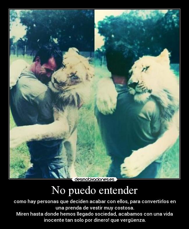 No puedo entender - como hay personas que deciden acabar con ellos, para convertirlos en
una prenda de vestir muy costosa.
Miren hasta donde hemos llegado sociedad, acabamos con una vida
inocente tan solo por dinero! que vergüenza.