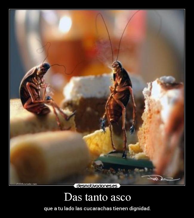 Das tanto asco - que a tu lado las cucarachas tienen dignidad.