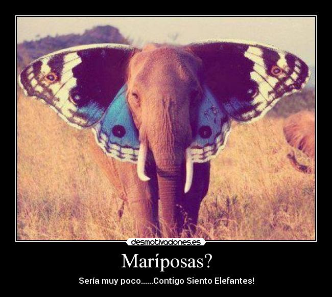 Maríposas? - Sería muy poco......Contigo Siento Elefantes!