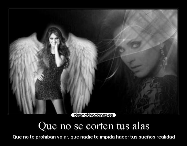 Que no se corten tus alas - 