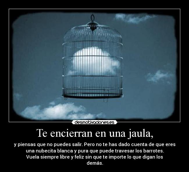 carteles vuela siempre libre feliz desmotivaciones