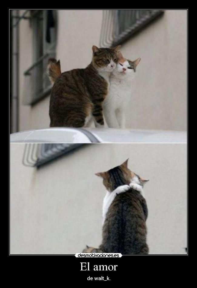 El amor - de walt_k.