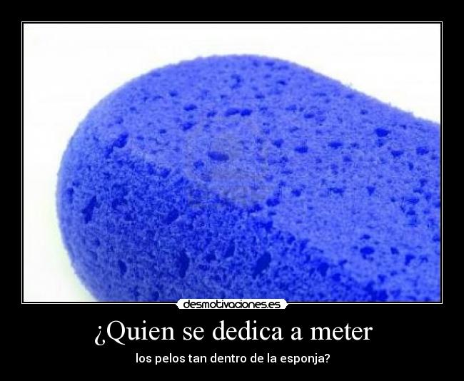 ¿Quien se dedica a meter - los pelos tan dentro de la esponja?