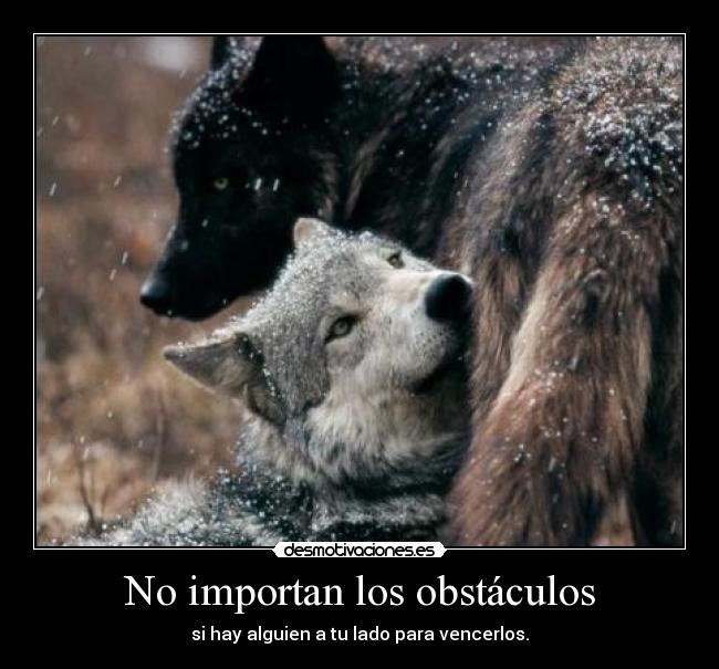 No importan los obstáculos - si hay alguien a tu lado para vencerlos.