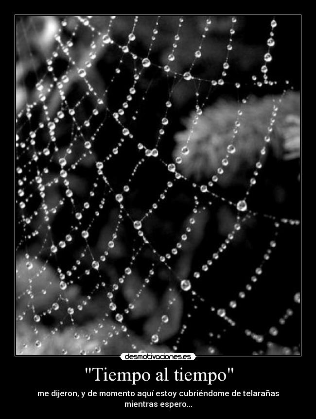 Tiempo al tiempo - me dijeron, y de momento aquí estoy cubriéndome de telarañas mientras espero...