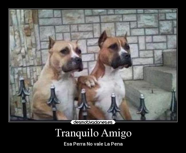 Tranquilo Amigo -