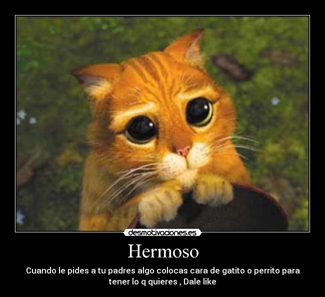 Hermoso - Cuando le pides a tu padres algo colocas cara de gatito o perrito para
tener lo q quieres , Dale like