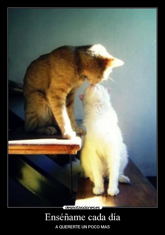 Enséñame cada día - A QUERERTE UN POCO MAS