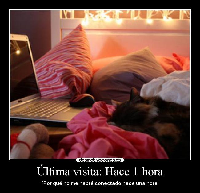 Última visita: Hace 1 hora - Por qué no me habré conectado hace una hora