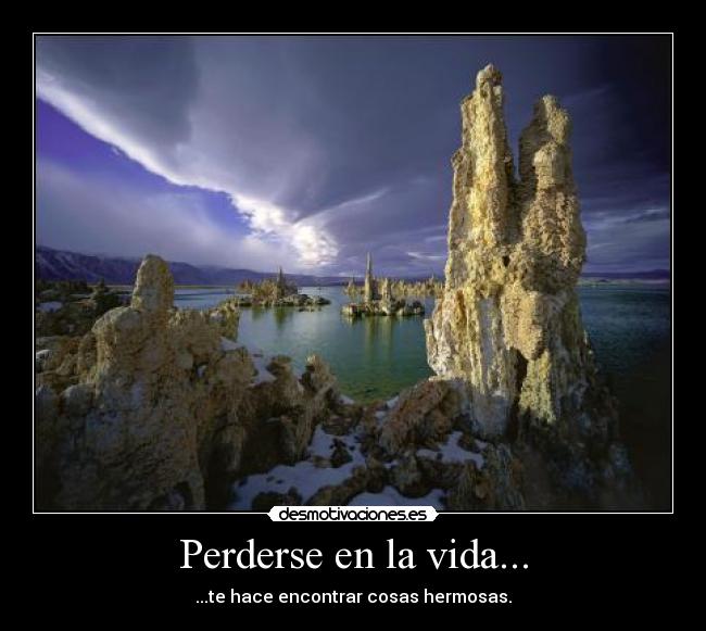 Perderse en la vida... - ...te hace encontrar cosas hermosas.