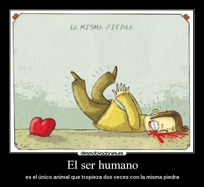 El ser humano - es el único animal que tropieza dos veces con la misma piedra