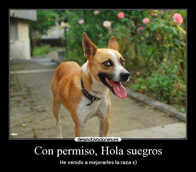 Con permiso, Hola suegros - He venido a mejorarles la raza x)