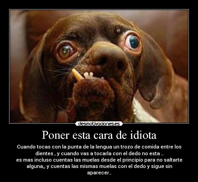 carteles idiotaaa desmotivaciones