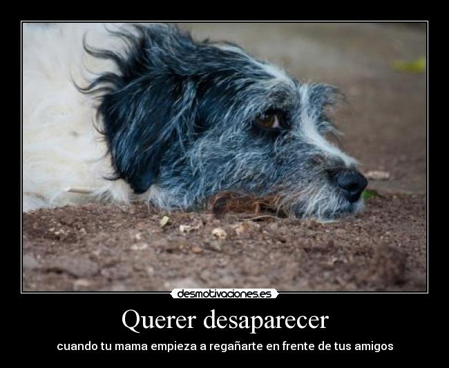 Querer desaparecer - cuando tu mama empieza a regañarte en frente de tus amigos