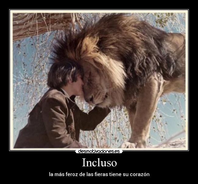 Incluso - la más feroz de las fieras tiene su corazón