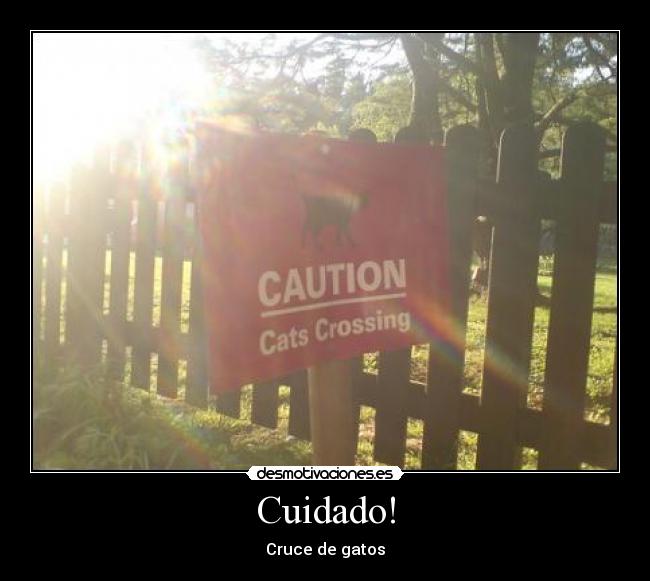 Cuidado! - 