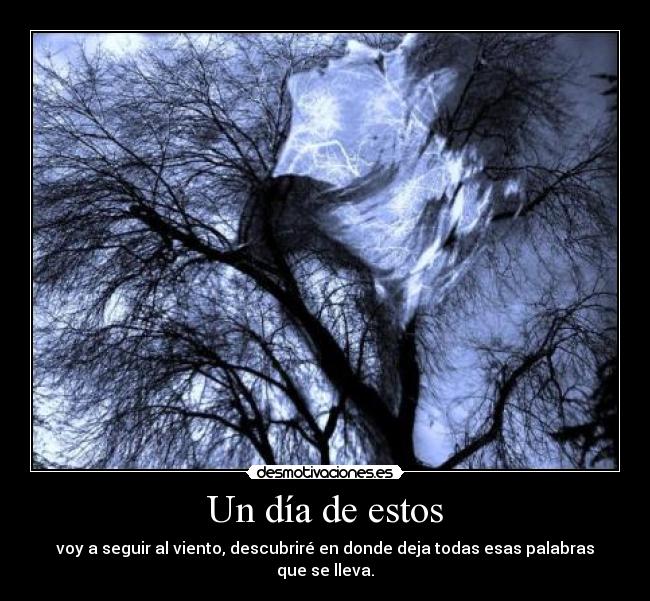 Un día de estos - voy a seguir al viento, descubriré en donde deja todas esas palabras que se lleva.