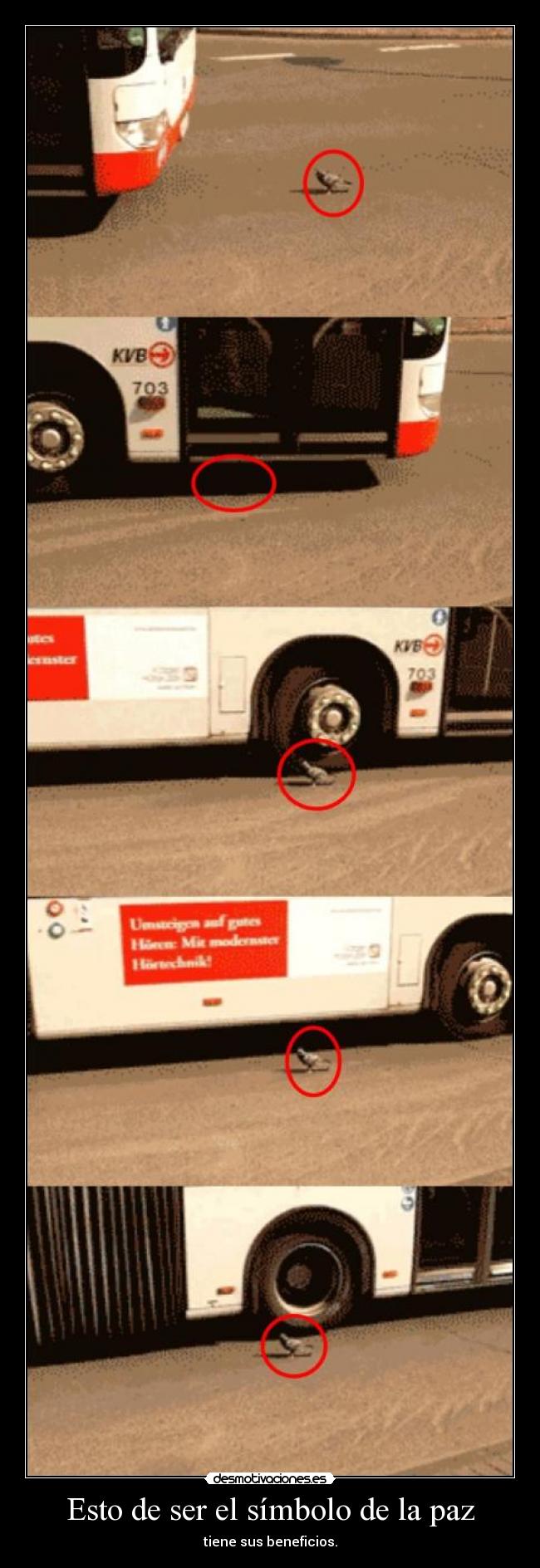 Esto de ser el símbolo de la paz -