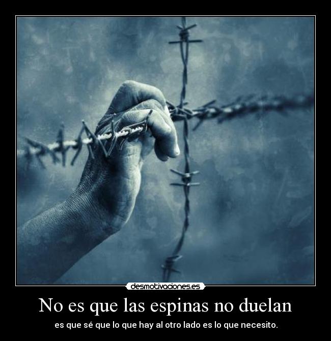 No es que las espinas no duelan - 