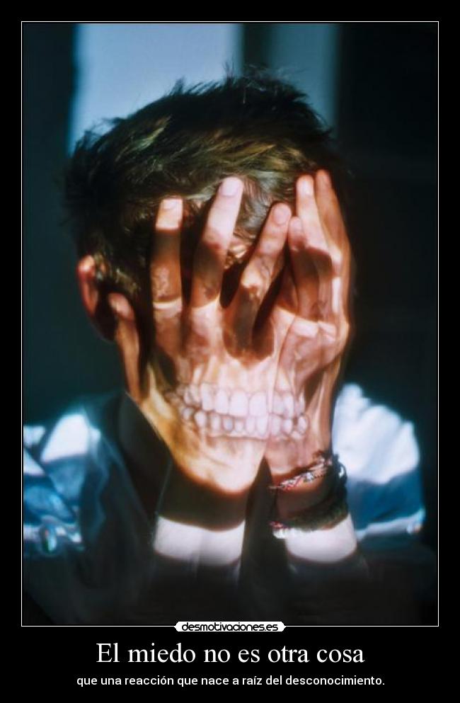 El miedo no es otra cosa - 