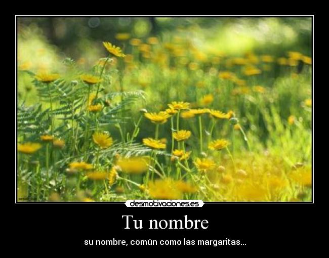 Tu nombre - su nombre, común como las margaritas...