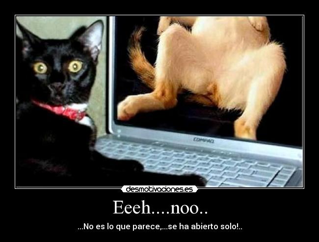 Eeeh....noo.. - ...No es lo que parece,...se ha abierto solo!..