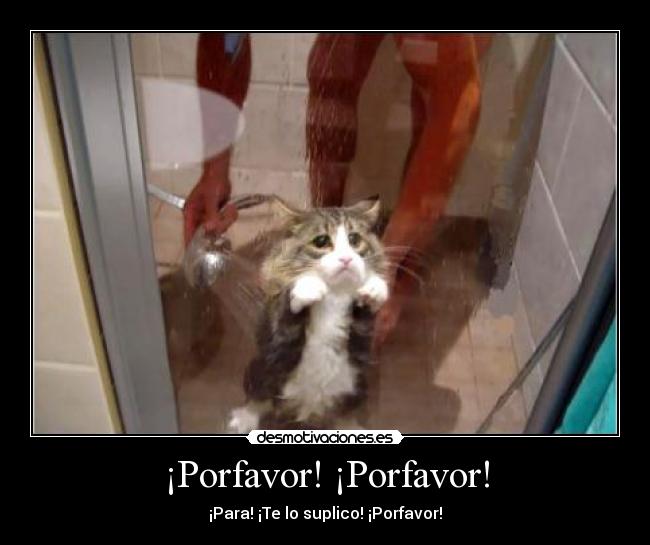 ¡Porfavor! ¡Porfavor! - ¡Para! ¡Te lo suplico! ¡Porfavor!