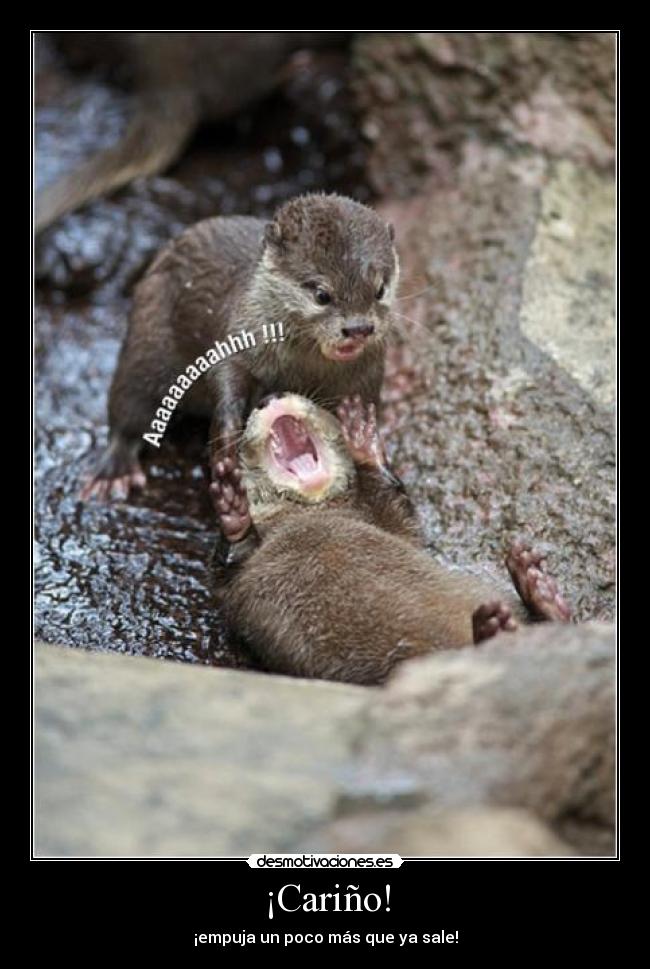 ¡Cariño! - ¡empuja un poco más que ya sale!